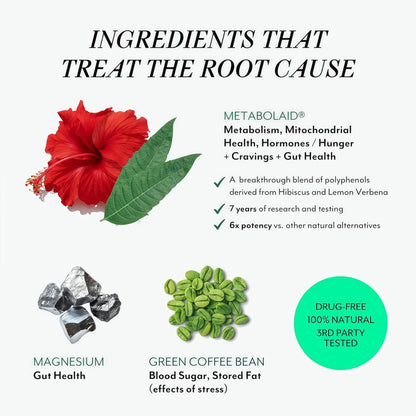 Veracity Metabolism Ignite - Boosts GLP-1 to Reduce Appetite and Cravings for Clinically Proven Weight Loss - Natural GLP-1 & Metabolic Support Supplement - Burns Fat - Side Effect Free - 30 Serving